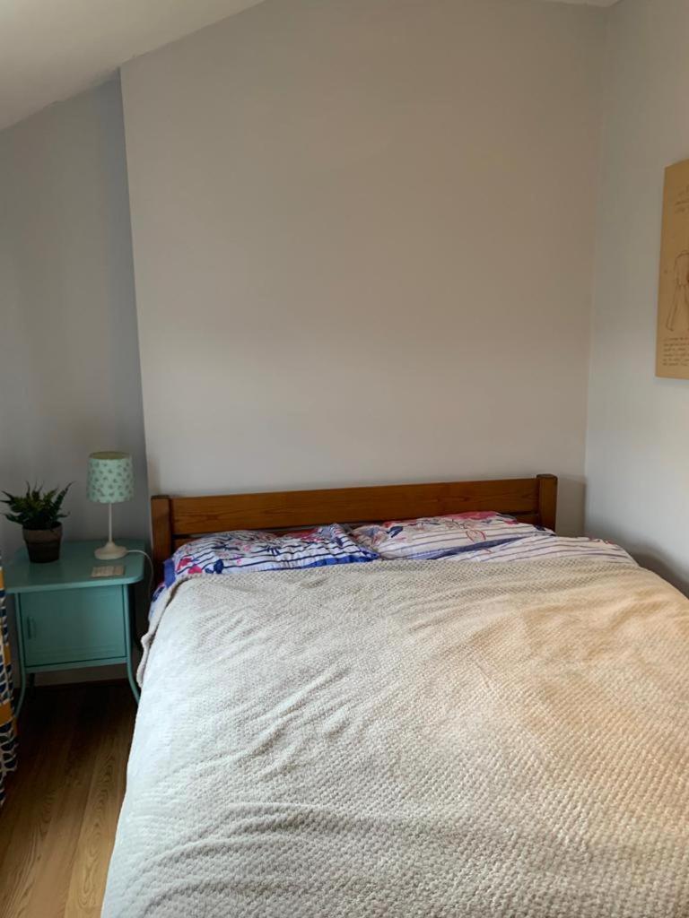 7 Bedroom Victorian House Zone 2 * London